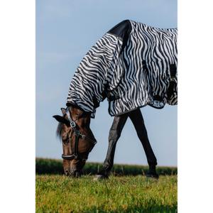 product/r/i/riding-world_400726056_zebre_4.jpg
