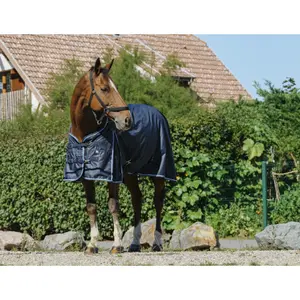 Outdoor  Blanket Riding World Riding World "Eco" 600D 0g image-0