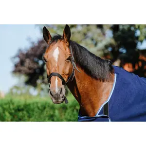 Πολωτή κουβέρτα παρουσίασης για άλογο Riding World image-3