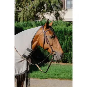 Καλύμμα κατά των μύγων για άλογα Riding World image-2