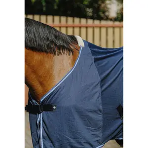 Κάλυμμα αλόγου από λεπτό πλέγμα Riding World image-3