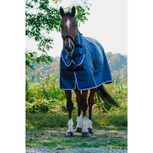 Hästtäcke för utomhusbruk Riding World Combo image-0