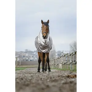 Αντι-έκζεμα πουκάμισο για άλογο Riding World image-2