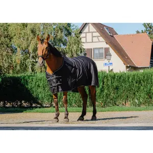 Λαμπερό καπέλο για άλογο Riding World image-0