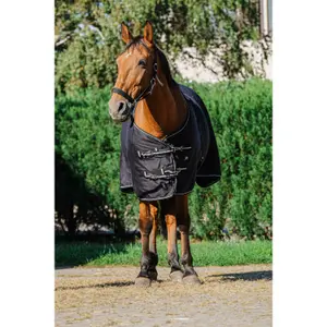 Λαμπερό καπέλο για άλογο Riding World image-1
