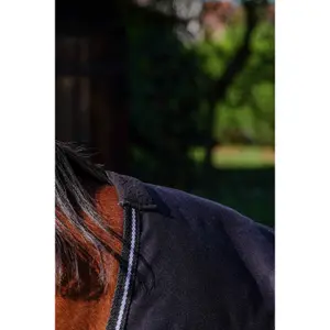 Λαμπερό καπέλο για άλογο Riding World image-4