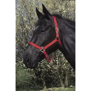 Κολάρο Riding World image-0