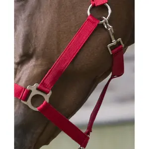 Κολάρο Riding World Club image-1