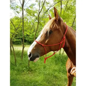 World Éthologique riding horse halter image-0