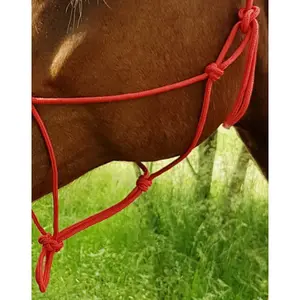 World Éthologique riding horse halter image-2