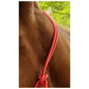 World Éthologique riding horse halter image-4