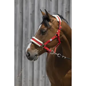 Licol pour cheval en mouton synthétique Riding World image-1