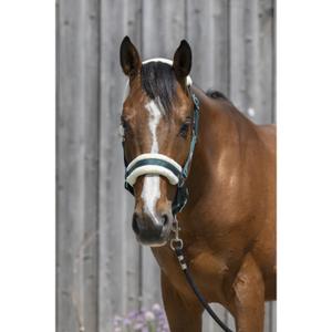 510242009-synthetisch-schapenvacht-halster-voor-paarden-riding-world-donkergroen