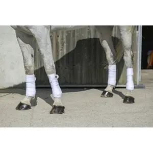 Λωρίδες πόλο για άλογα Riding World Eco image-1
