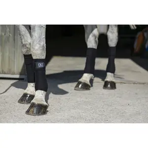 Λωρίδες πόλο για άλογα Riding World Eco image-1
