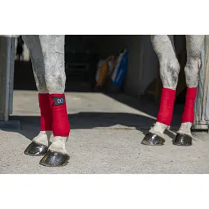 Polo wraps for horse Riding World Eco image-1