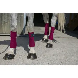 Polo wraps for horse Riding World Eco image-2