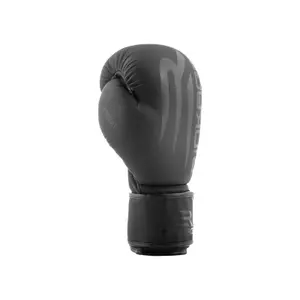 Gants de boxe Rinkage Exocet image-3