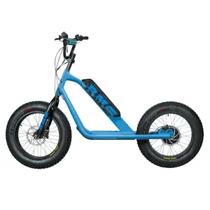 Elektrická koloběžka RMS Bike 20F-X RAL 5015 image-0
