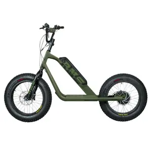 Electric scooter RMS Bike 20F-X RAL 6003 image-0