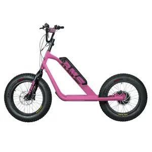 Elektrická koloběžka RMS Bike 20F-X RAL 4003 image-0