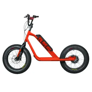 Elektrisk scooter RMS Bike 20F-X RAL 3020 image-0
