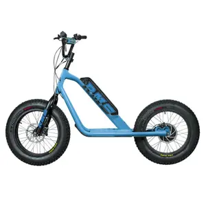 Elektrisk scooter RMS Bike 20F-X RAL 5012 image-0