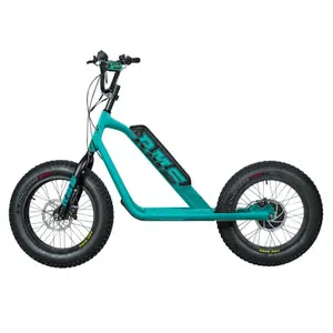 Elektrisk scooter RMS Bike 20F-X RAL 5021 image-0