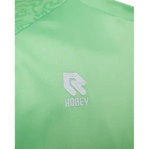 Torwarttrikot Robey Sportswear Patron image-5