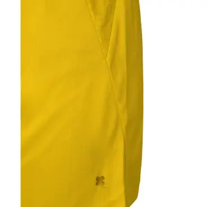 Goalkeeper shorts Robey Sportswear Patron image-4