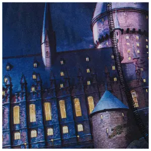 Children's boxer shorts Rock à Gogo Harry Potter - Poudlard image-1