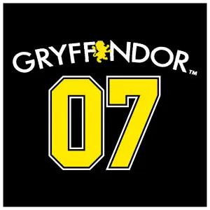 Hooded sweatshirt Rock à Gogo Harry Potter Gryffindor image-4