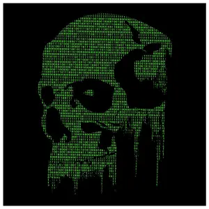 Camiseta Rock à Gogo Divers - Cyber Skull image-1