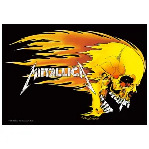 Bandiera Rock à Gogo Metallica Pushead Skull image-0