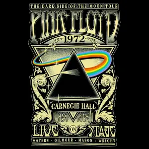 Child's T-shirt Rock à Gogo Pink Floyd - Carnegie Hall image-1