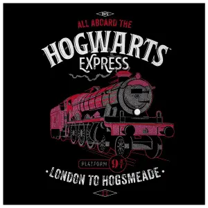 T-shirt Rock à Gogo Harry Potter - Aboard image-1
