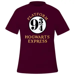 T-Shirt Rock à Gogo Harry Potter - Hogwarts Express image-0