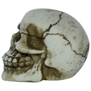 Decorative object skull Rock à Gogo Joker image-1