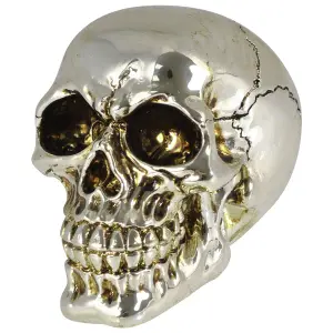 Decorative object skull Rock à Gogo Small image-0