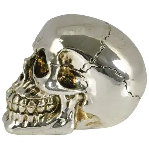 Decorative object skull Rock à Gogo Small image-2