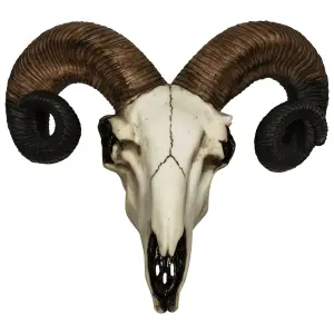 Decorative skull mural Rock à Gogo Animaux - Rams Skull image-0