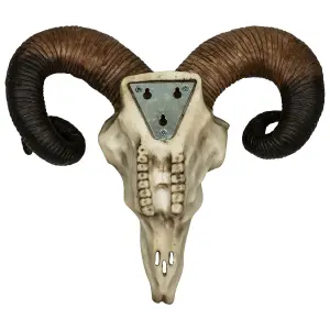 Decorative skull mural Rock à Gogo Animaux - Rams Skull image-1