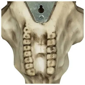 Decorative skull mural Rock à Gogo Animaux - Rams Skull image-2