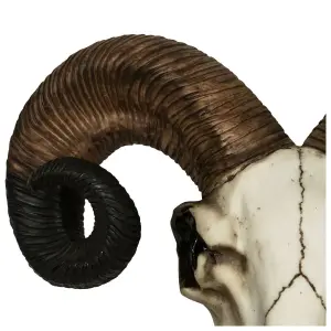 Decorative skull mural Rock à Gogo Animaux - Rams Skull image-3