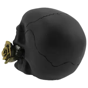 Decorative object skull Rock à Gogo Black Rose From The Dead image-2
