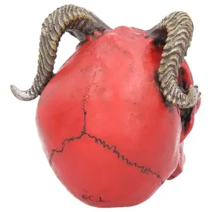 Decorative object skull Rock à Gogo Tenacious Demon image-2