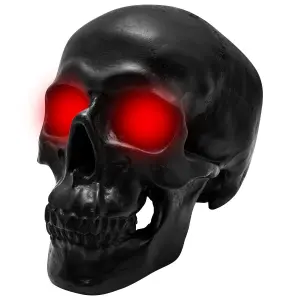 Decorative object skull Rock à Gogo Leds image-0