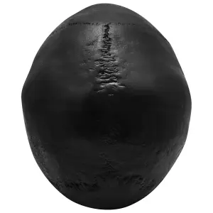 Decorative object skull Rock à Gogo Leds image-3