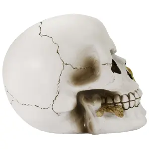 Decorative object skull Rock à Gogo Floral Fate image-2