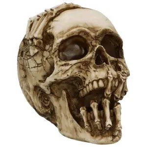 Decorative object skull Rock à Gogo James Ryman - Breaking Out Skull image-0